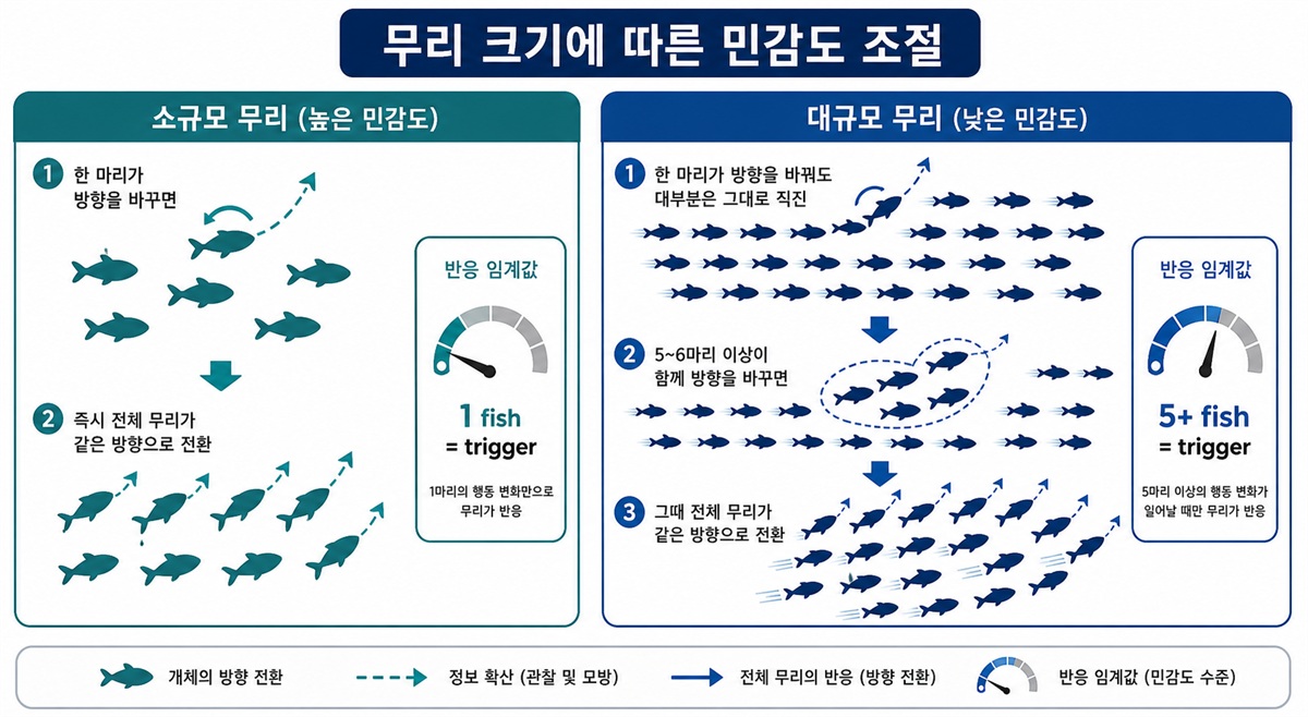 무리 크기별 민감도 도식