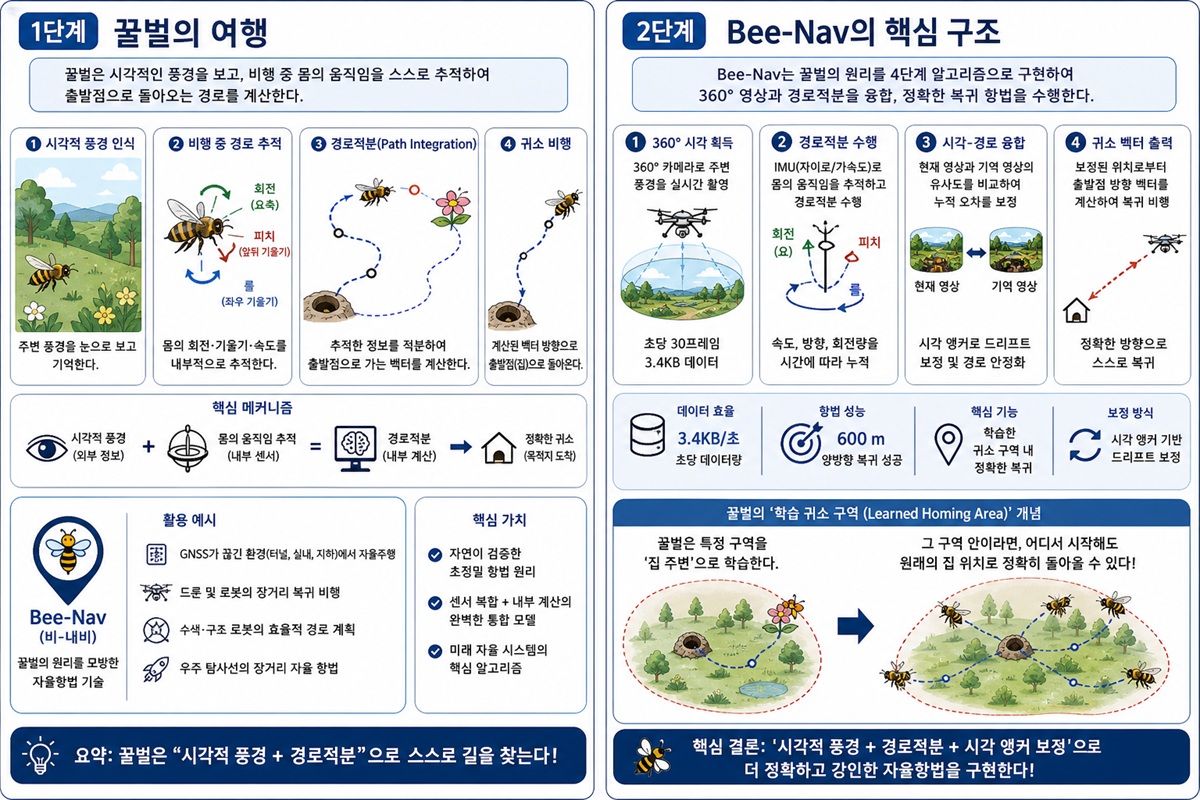 꿀벌과 비-내브 드론의 항법 알고리즘 비교 도식