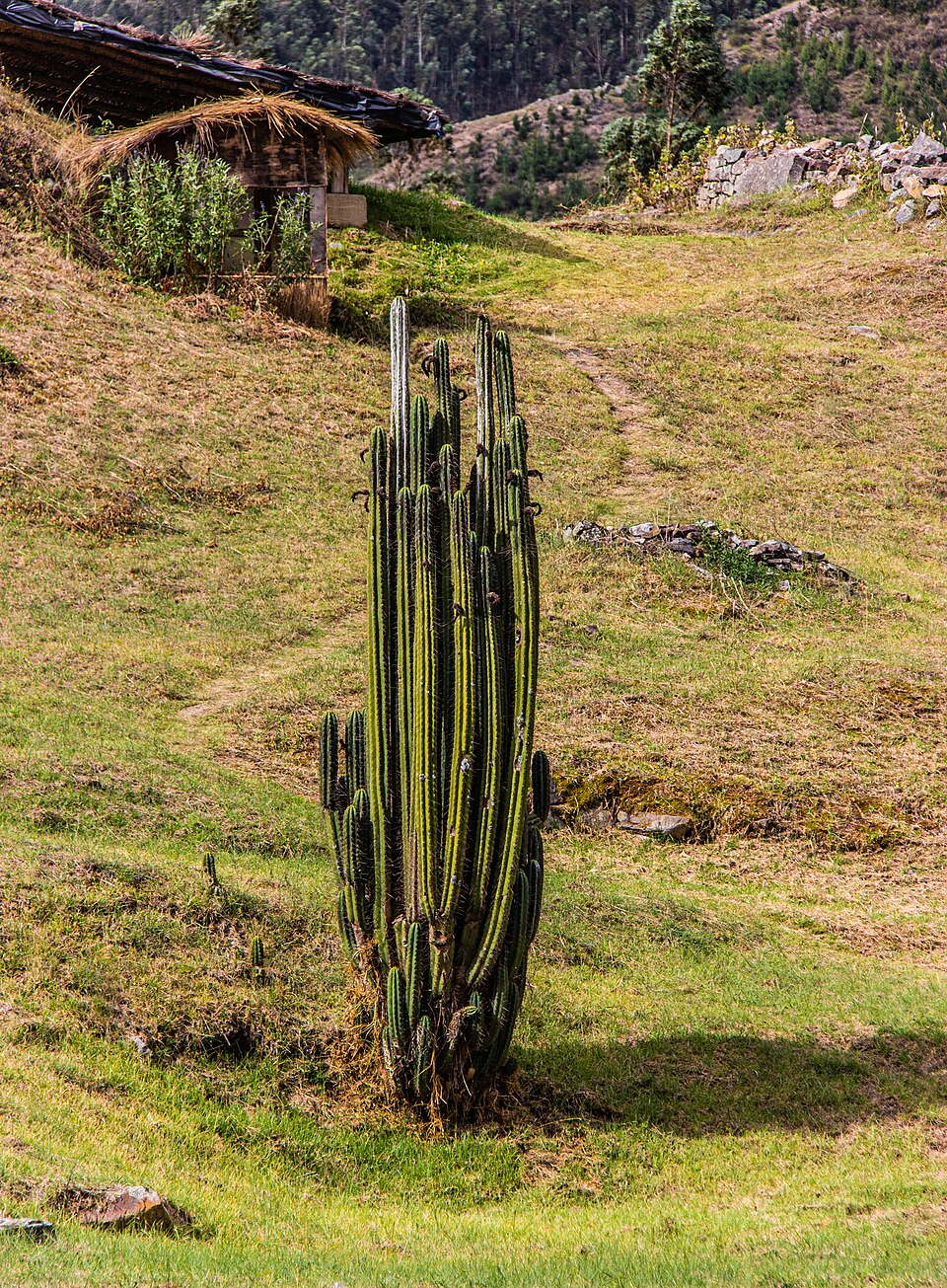 차빈 데 우안타르 유적 외관